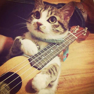 最近中文字幕高清字幕mv久久
